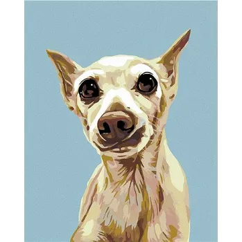 Malování podle čísel - Vyděšený pejsek, 40x50 cm, bez rámu a bez vypnutí plátna