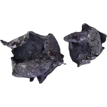 Palm cap frosted fialová