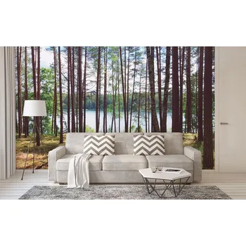 Fototapeta Tapeta Březák (vliesová fototapeta)