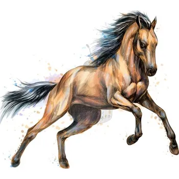 Jedlá dekorace na dort Caketools Jedlý papír "koně 11" - A4