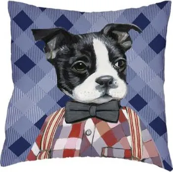 Povlak na polštářek POVLAK NA POLŠTÁŘEK SPRÁVŇÁK JOE + extra výběr z 4000 produktů