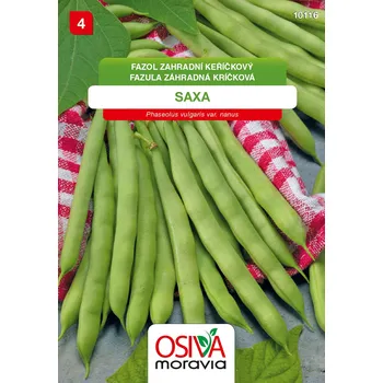 Semeno Fazol keříčkový - Saxa