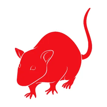 Samolepící dekorace SAMOLEPKA Krysa 003 levá (10 - červená) NA AUTO, NÁLEPKA, FÓLIE, POLEP, TUNING, VLASTNÍ TEXT, TISK, AUTOSAMOLEPKY.cz, POLEPY, OBRÁZEK, LOGO, SAMOLEPKY