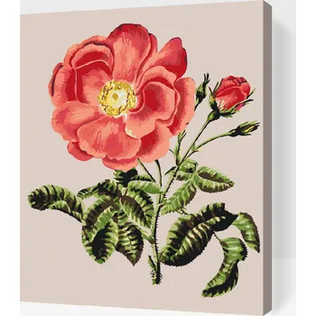 Malování podle čísel - Vintage růže Velikost: 30x40cm, Rámování: Pouze srolované plátno