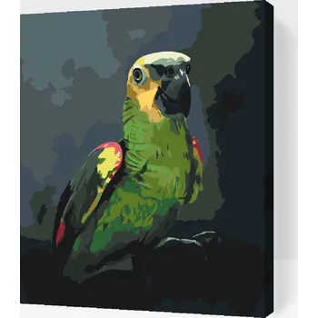 Malování podle čísel - Papoušek Amazoňan Velikost: 30x40cm, Rámování: Pouze srolované plátno