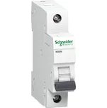 Schneider Electric A9K01110