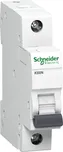 Schneider Electric A9K01110