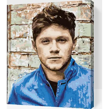 Malování podle čísel - Niall Horan 2 Velikost: 30x40cm, Rámování: Pouze srolované plátno
