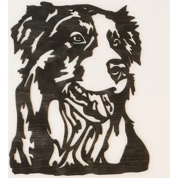 Obraz Border kolie dřevěný obraz - Tmavě hnědá lazura