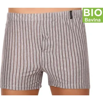 Pánské spodní prádlo Pánské trenýrky Molvy 100% BIO Bavlna MP-1052 L