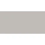 Obklad Rako Concept Plus šedá 30x60 cm lesk WAKVK010.1