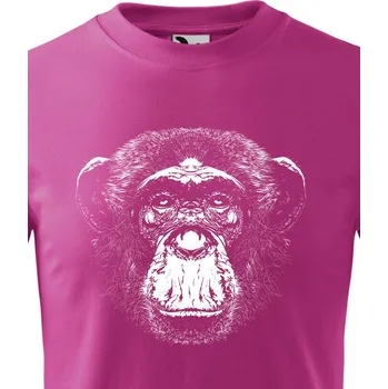 Chlapecké tričko Dětské tričko Šimpanz, Barva Purpurová, Velikost 158 cm/12 roků, Canvas Dětské tričko Bezvatriko.cz 1775