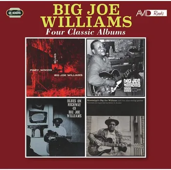 Zahraniční hudba Big Joe Williams : Four Classic Albums CD