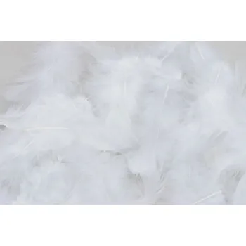 Peříčka 10 g - bílá