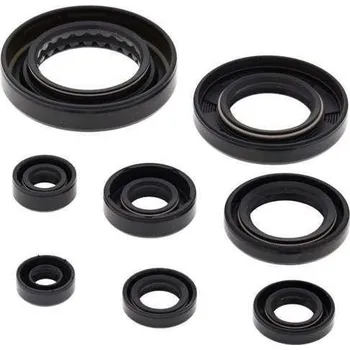 Těsnění motoru WINDEROSA sada gufer motoru HONDA TRX 420 FA IRS 09-19, TRX 420 FA 17-19, TRX 420 FPA IRS 09-14, TRX 500FA 15-19