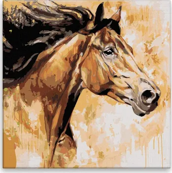 Malování podle čísel - Kůň s rozevlátou hřívou - 40x40 cm, bez dřevěného rámu - CZ výroba
