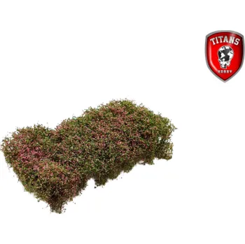 Plastikový model Titans Hobby Shrubbery cm.15x15 Lenght 15mm - Blooming Viola