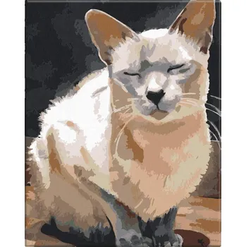 Malování podle čísel - Spící kočka - 40x50 cm, bez dřevěného rámu - CZ výroba