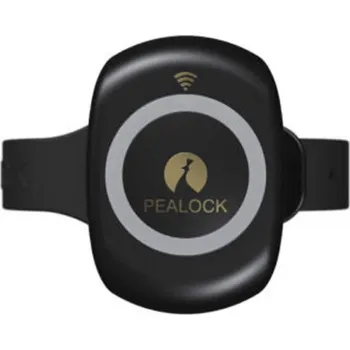 Pealock Elektronický zámek 35 cm