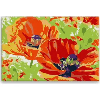 Malování podle čísel - Rozkvetlé vlčí máky - 60x40 cm, bez dřevěného rámu - CZ výroba