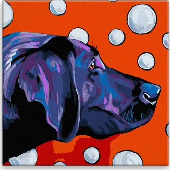 Malování podle čísel - Labrador s bublinami - 40x40 cm, bez dřevěného rámu - CZ výroba