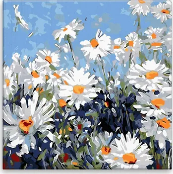 Malování podle čísel - Kopretinová louka - 40x40 cm, bez dřevěného rámu - CZ výroba