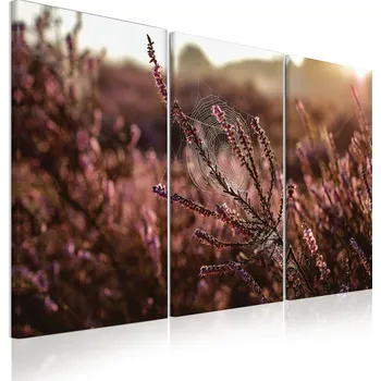 Obraz Malvis ® Třídílný obraz Pavučinka Velikost (šířka x výška): 70x40 cm