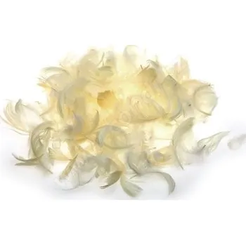 Dekorace - pírka, různé barvy 10 g Barva: šampaň