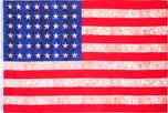 Fosco Vlajka USA vintage 48 hvězd 155 x…