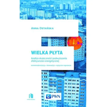 WIELKA PŁYTA ANALIZA SKUTECZNOŚCI PODWYŻSZANIA EFEKTYWNOŚCI ENERGETYCZNEJ - ANNA OSTAŃSKA