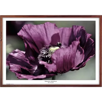 Rám na obraz Tradag Rámeček Natura hnědý 70x100