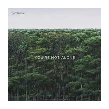 Zahraniční hudba CD Semisonic: You're Not Alone 2020