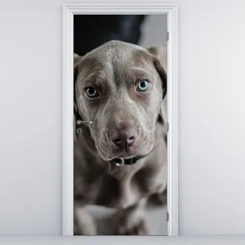 Fototapeta LuxusniObrazy.cz Fototapeta na dveře - Štěně