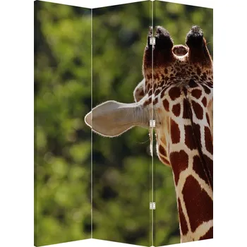 Paraván LuxusniObrazy.cz Paraván - Žirafa zezadu