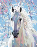 Zuty Bílý kůň 40 x 50 cm s rámem