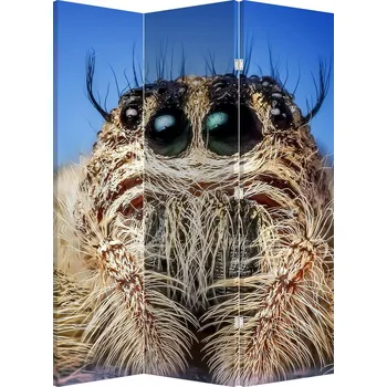 Paraván LuxusniObrazy.cz Paraván - Detail pavouka