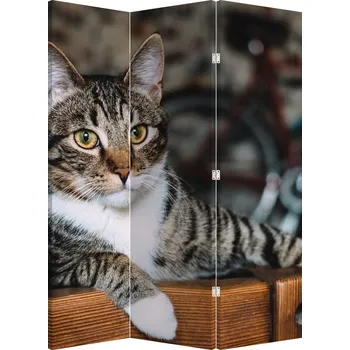 Paraván LuxusniObrazy.cz Paraván - Kočka