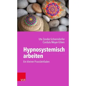 Hypnosystemisch arbeiten: Ein kleiner Praxisleitfaden - Zander-Schreindorfer, Ute