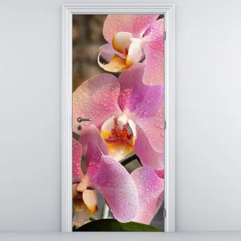 Fototapeta LuxusniObrazy.cz Fototapeta na dveře - orchideje
