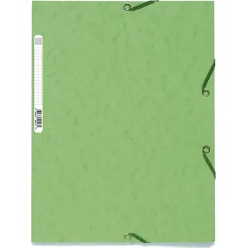 Archivační box Spisové desky s gumičkou a štítkem Exacompta, A4 maxi, prešpán, světle zelené