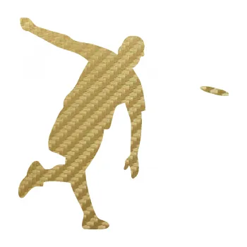 Samolepicí dekorace na vozidlo Discgolf 001 pravá (59 - 3D karbon zlatý) SAMOLEPKA NA AUTO, NÁLEPKA, FÓLIE, POLEP, TUNING, VLASTNÍ TEXT, TISK, AUTOSAMOLEPKY.cz, POLEPY, OBRÁZEK, LOGO, 3D STICKERS