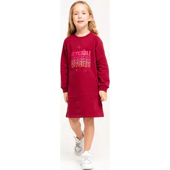 Dívčí šaty Dívčí šaty - WINKIKI WKG 02891, bordo Barva: Bordo, Velikost: 104