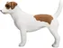 Figurka Mojo Fun 387286 Jack Russell teriér