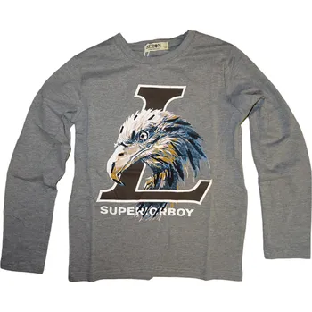 Chlapecké šedé triko s hlavou orla a dlouhým rukávem 152