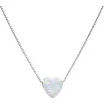 Evolution Group 12048.1