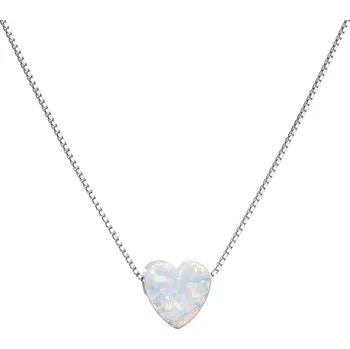 Náhrdelník Evolution Group 12048.1