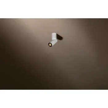 TAL Stropní svítidlo Micro Scoop