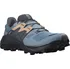 Dámská běžecká obuv Salomon Wildcross 2 GTX L41457900, 38