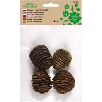 umělá květina Nohel Garden Dekorace sušiny PLATYSPERNUM SMALL přírodní 4ks