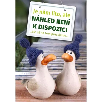 Německý jazyk Geni@l - příručka k DVD (Genial)